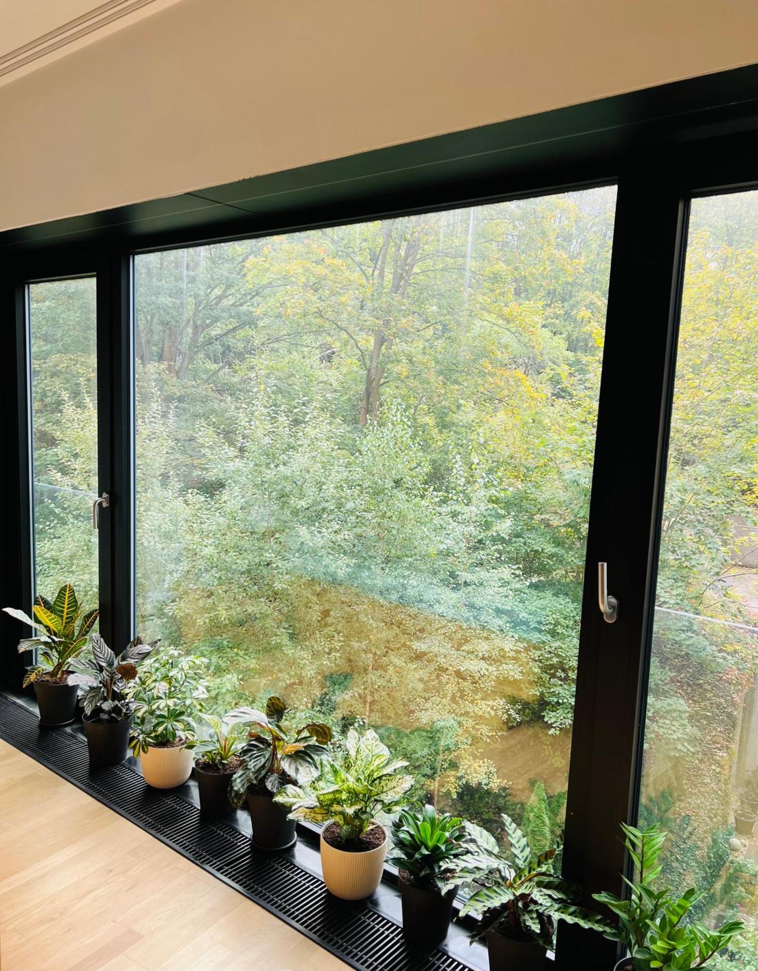 Artflora Kv Premium Apartment Karlovy Vary Luaran gambar
